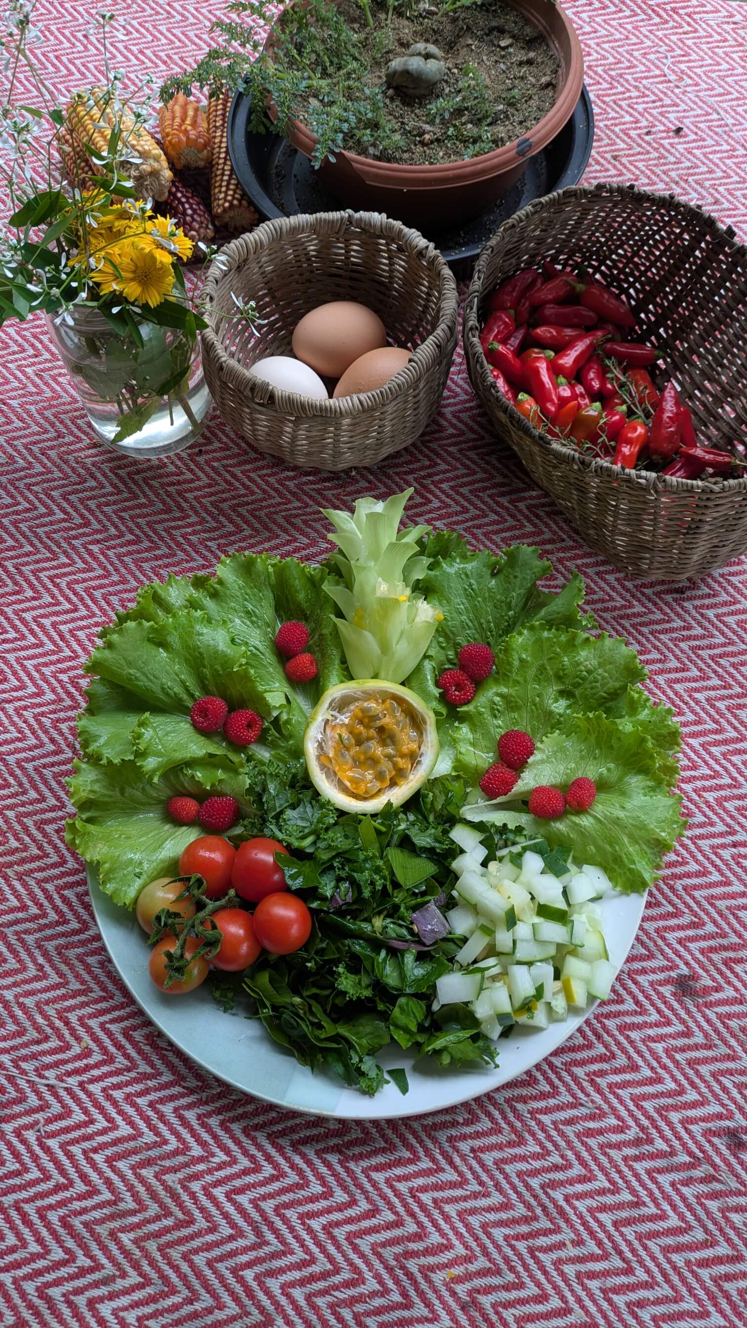 Property and lifestyle in Latin America 10