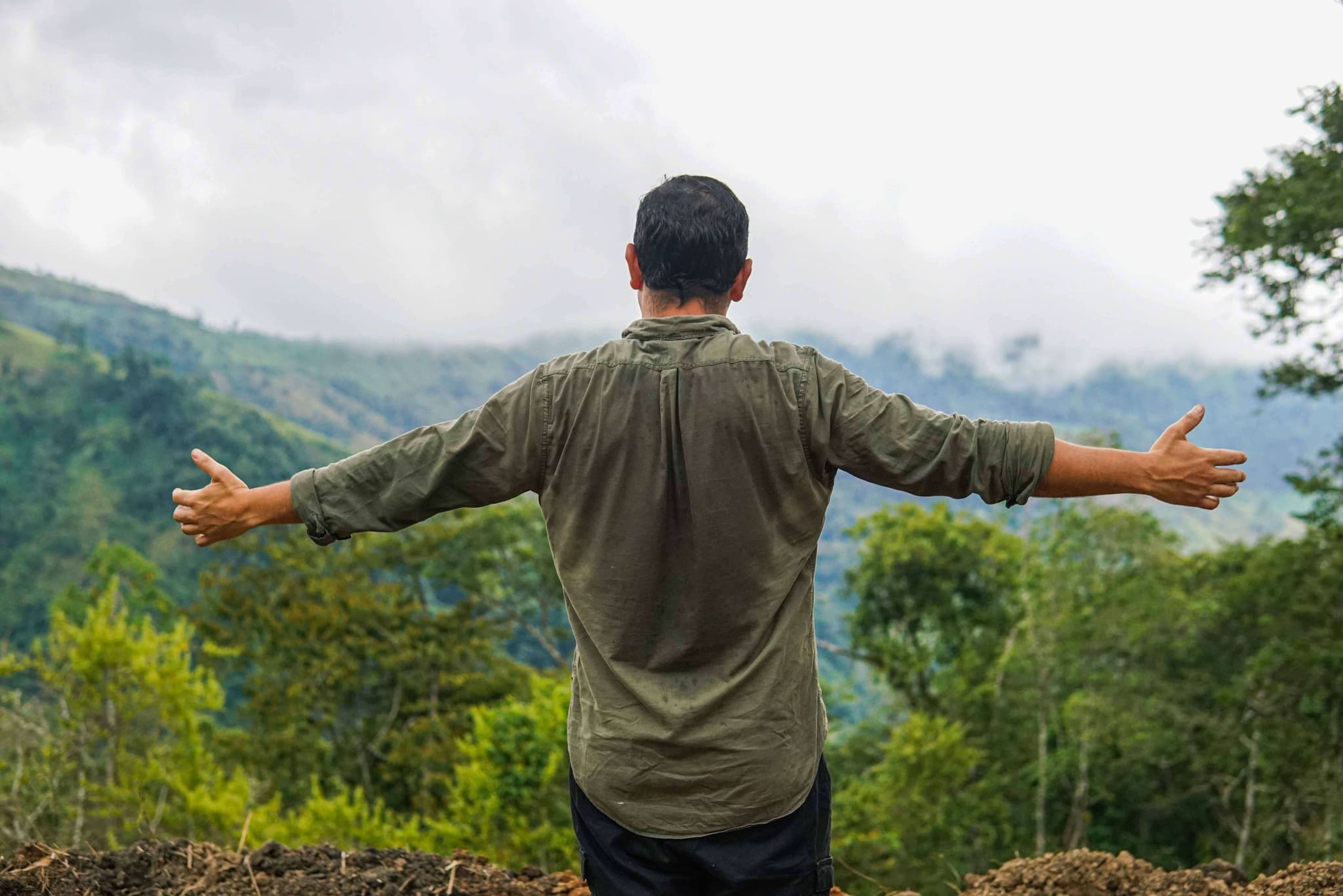 BuyEnjoy Professional